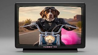 OUTLAW DOG BIKER