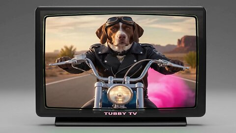 OUTLAW DOG BIKER