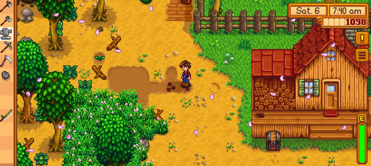 stardew valley