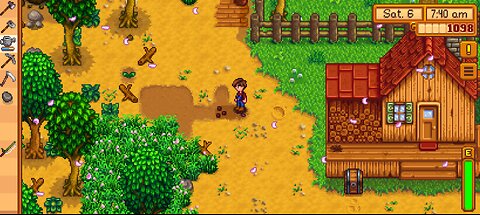 stardew valley