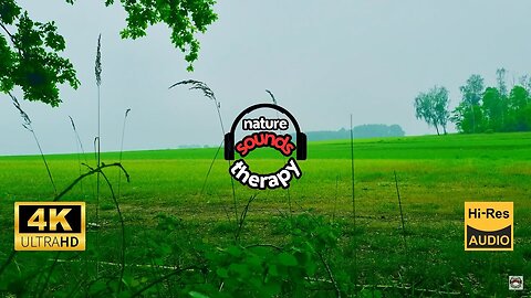 4K Rain Sounds Relaxation Among Green Fields
