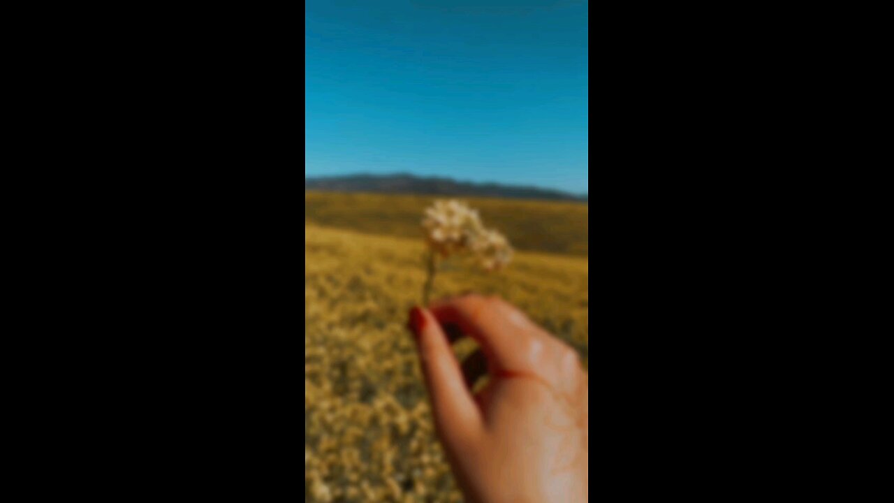 #foryoupage#viralvideo