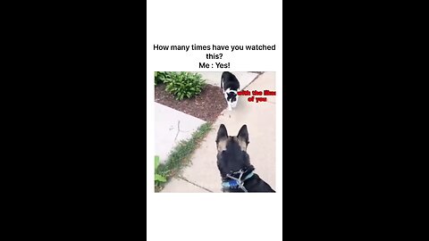These dubs are just amazing 😅🤣🤣🤣 FOLLOW OF MORE VIDEOS 😁
