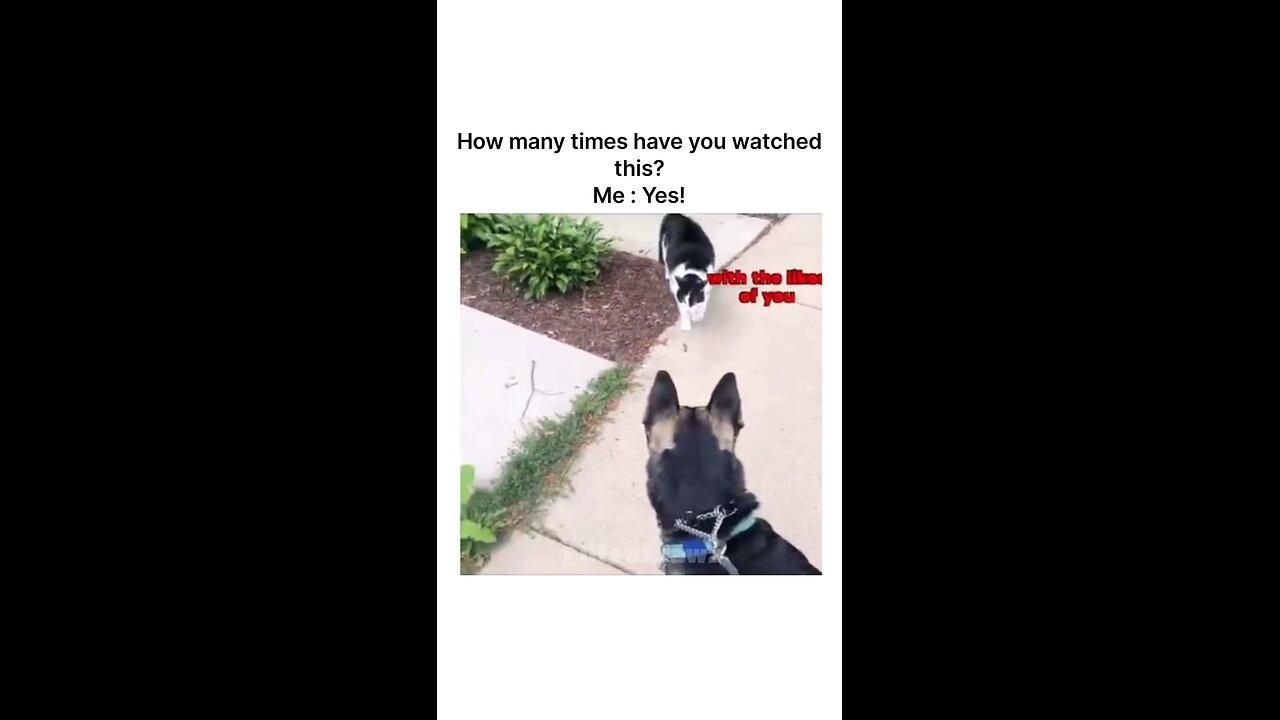 These dubs are just amazing 😅🤣🤣🤣 FOLLOW OF MORE VIDEOS 😁
