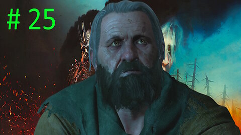 Let's Play Witcher 3 Wild Hunt BLIND # 25 🦅Crow's Perch🦅