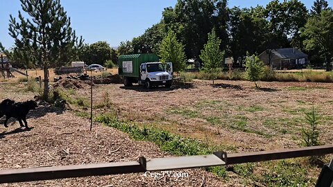 Graham Family Farm NW: Uribe's Tree Service Wood Chips - August 21 2025
