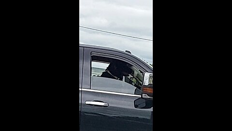 Oh Doggo!