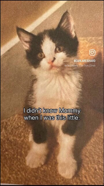 April Bookish Holidays for children