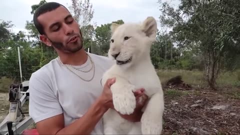 Top 10 Most Expensive Exotic Pets You Can Actually Own