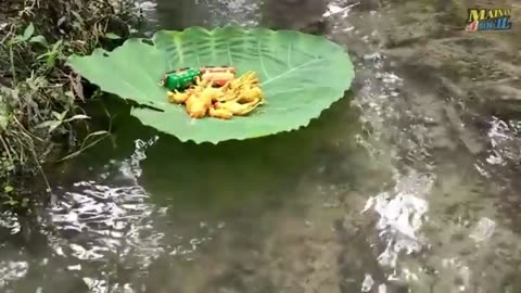 cleaning singa harimau kerbau kuda gajah bebek buaya kuda Nil dinosaurus kodok rakun