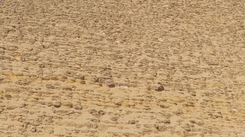 The Red Pyramid of Dahshur | travelwithSaave