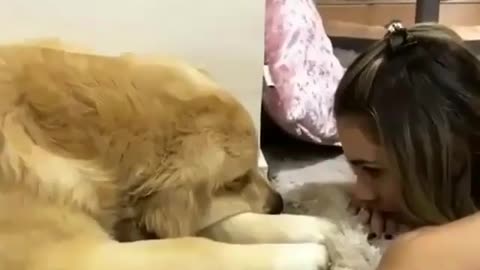 funny animals