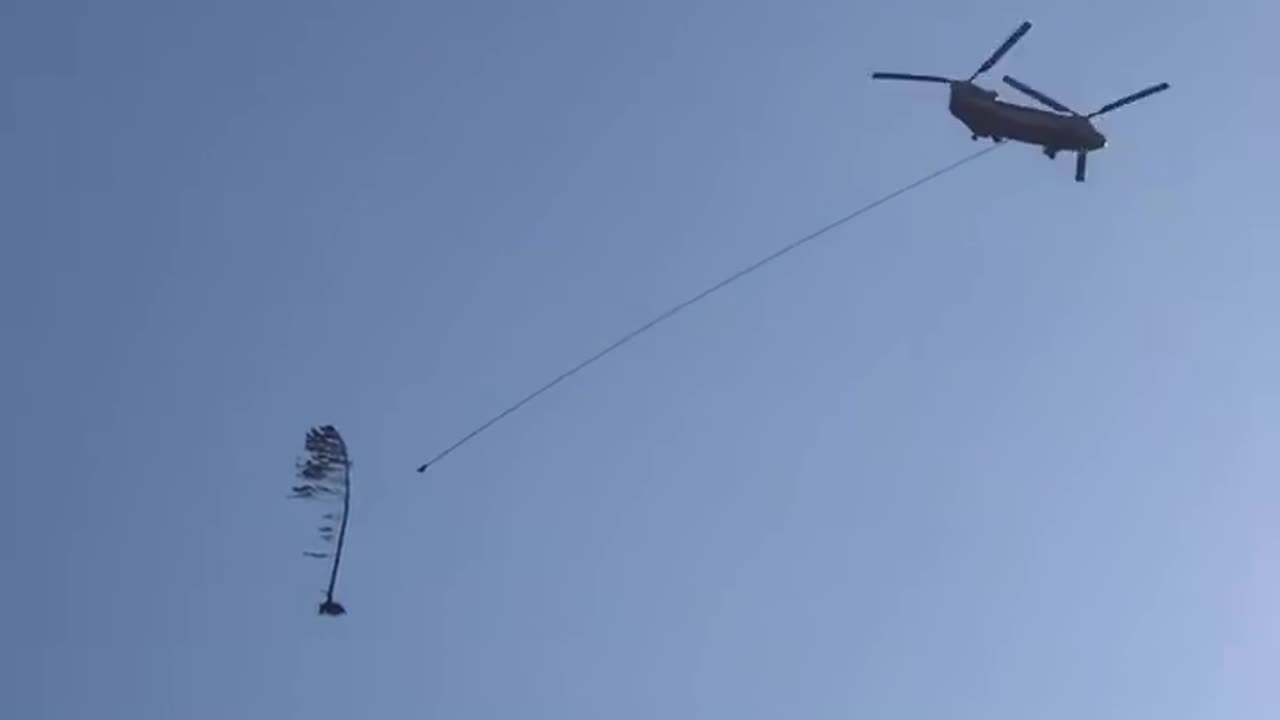 🤯🚁 Watch A Helicopter Transport A Tree Like A Boss! | FeedMyCuriosity
