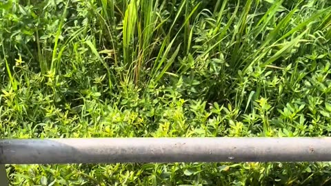 slowmotion water splash