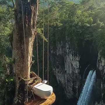 Only 1% would sit on that one 😳 Which toilet are you picking