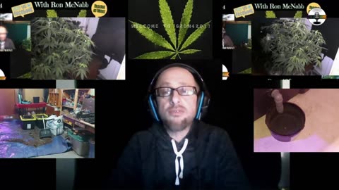 Grow 420 Today