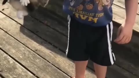 CHILDREN WITH CATS FUNNY MOMENTS