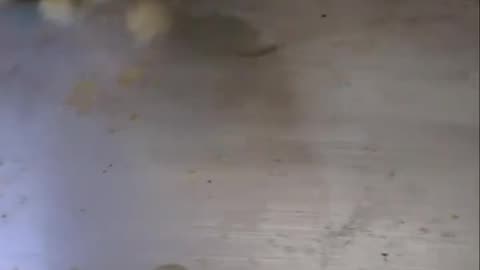 Prison Teriyaki Dish Part 1