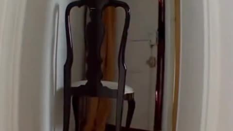 Fake asylum seekers in France pretend to be delivery boys and then break into a French man's house