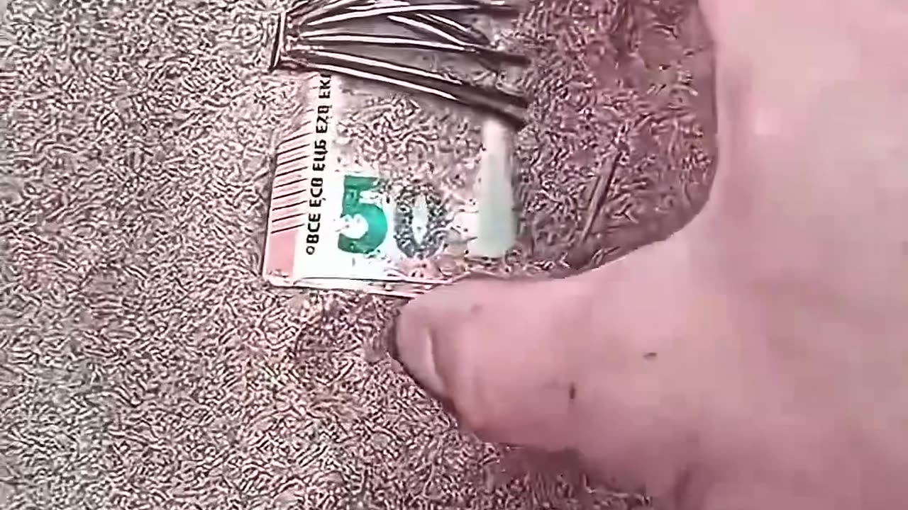Bro Found The Real Bitcoin