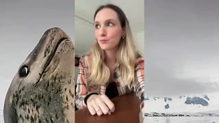 Europeans Despise Americans after Electing Trump. The Hatred is real