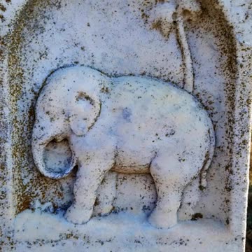 CARNIVAL DEATHS - VOL. 24: THE DEATH OF JOHN KING