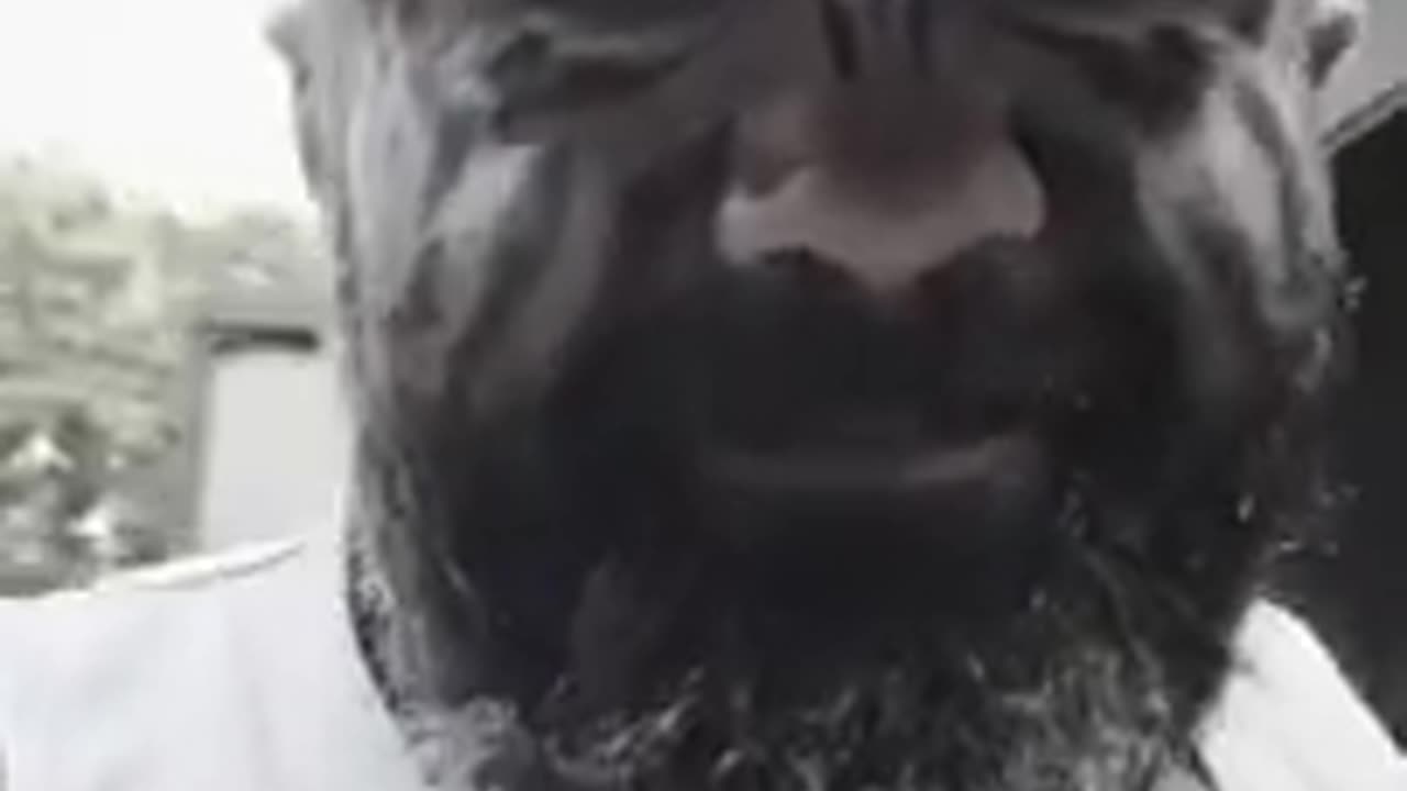 Marcin Różalski - Brzydzę się wami