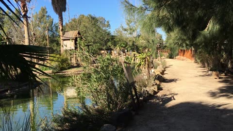 Lagos Zoo (Algarve, Portugal) 3