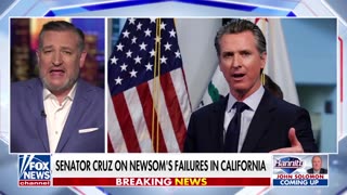 CRUZ MISSILE: Gavin Newsom is Very Good at Running Away From the Facts [WATCH]