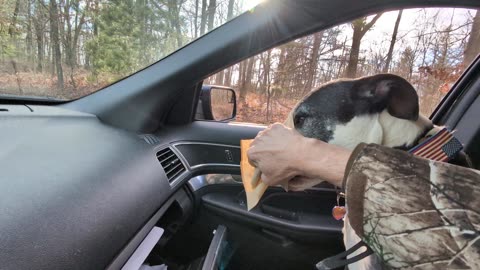 "It's always a Great Day #UpNorth for..."