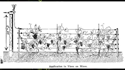 ELECTROCULTURE HISTORY - HOW DOES ELECTROCULTURE WORK ⚡