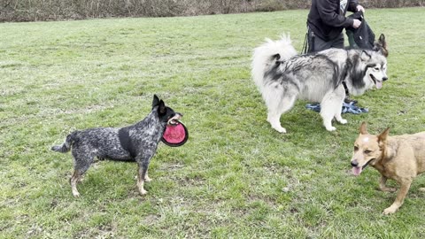 Meeka and Grizz hangout 23908432908