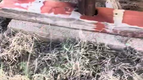 Southern most trailer in Cowboy land #trailer #building