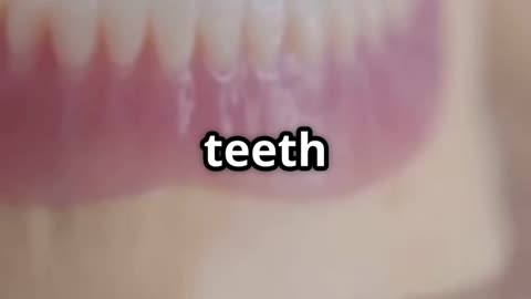 “Teeth Are Stronger Than Bones?! 😬🦴”