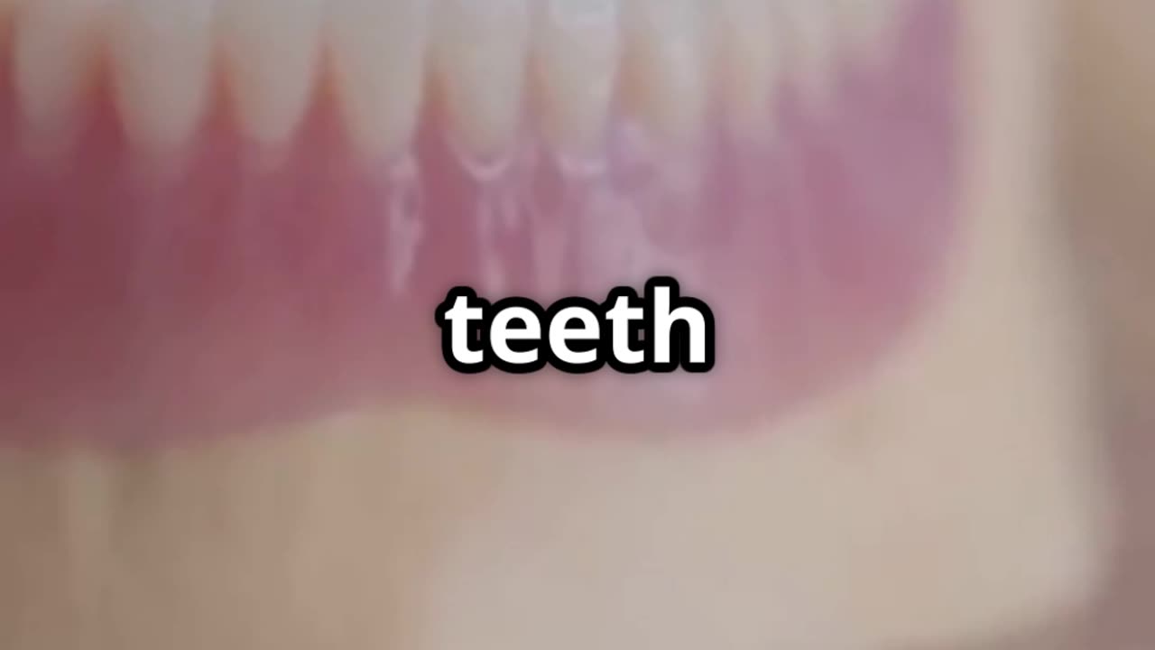 “Teeth Are Stronger Than Bones?! 😬🦴”