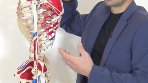 Non riesco alzare braccio, la Postura da Sistemare
