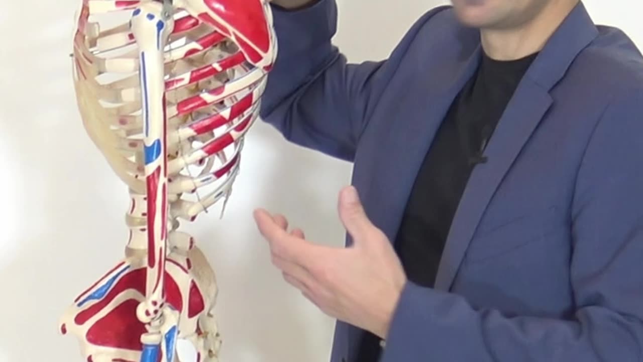 Non riesco alzare braccio, la Postura da Sistemare