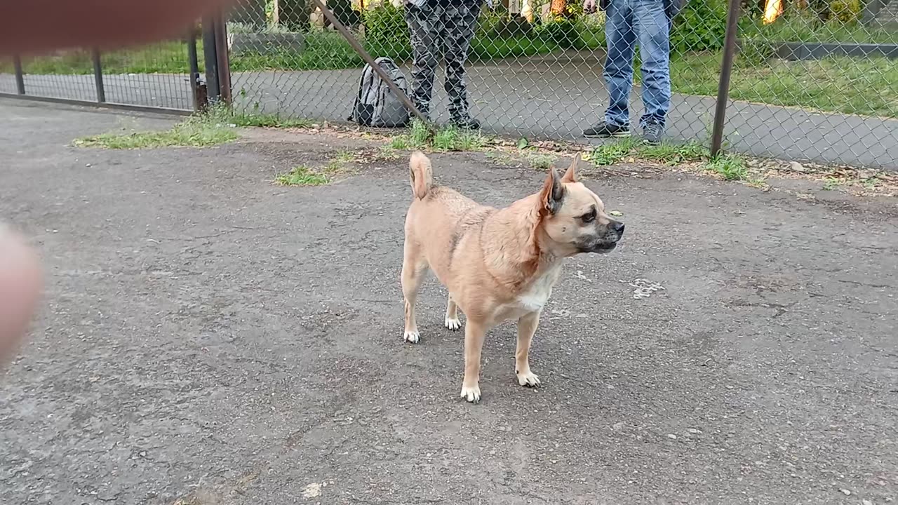 Demonologist sharing tales of demonic6 posseession