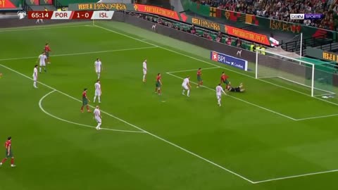 Portugal 2 Iceland 0 - Highlights