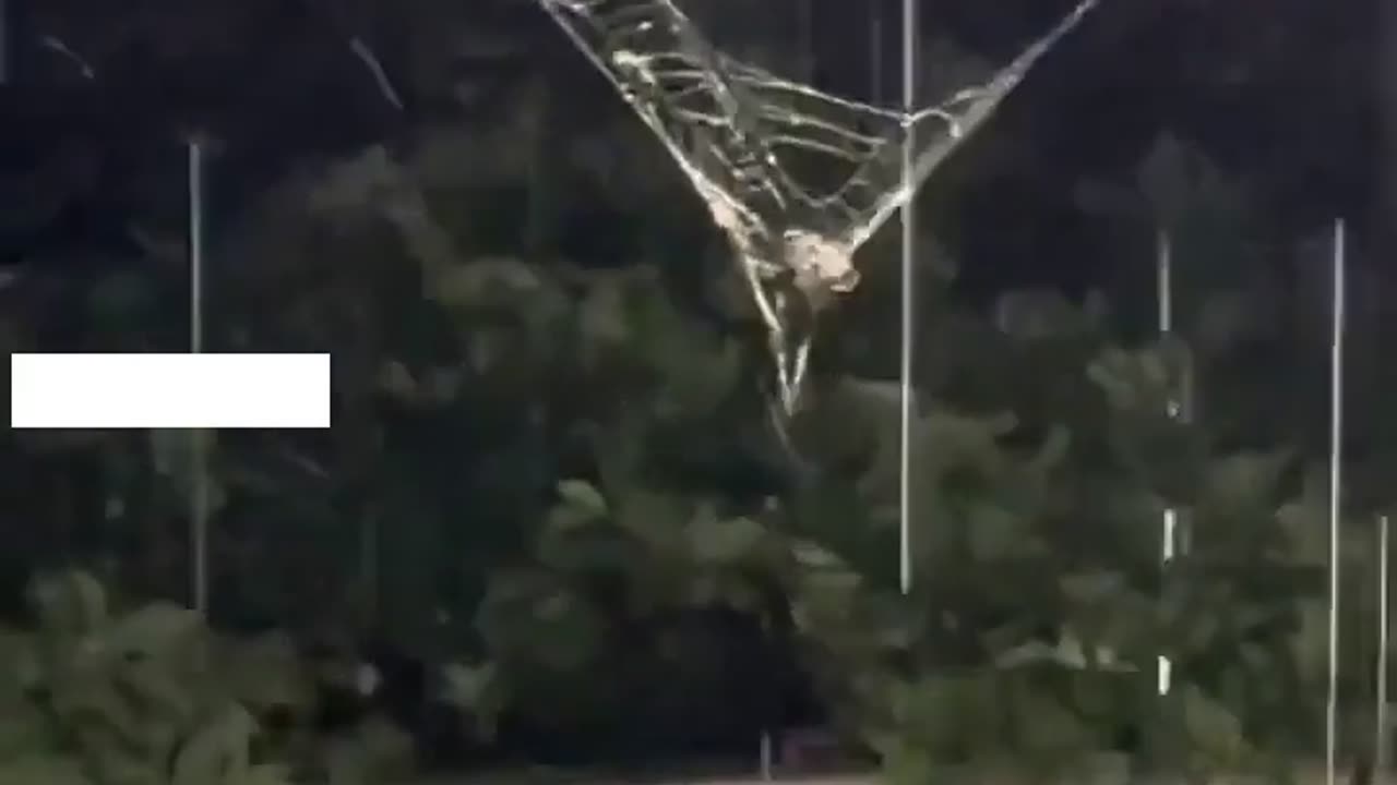 Spiders know to take in their webs when it's going to rain