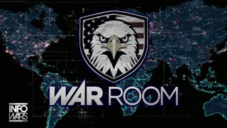 Infowars Network Feed: LIVE 247