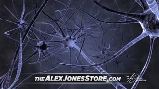 Infowars Network Feed: LIVE 247
