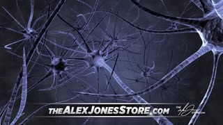 Infowars Network Feed: LIVE 247