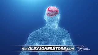 Infowars Network Feed: LIVE 247