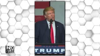 Infowars Network Feed: LIVE 247