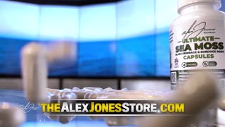 Infowars Network Feed: LIVE 247