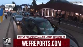 Infowars Network Feed: LIVE 247