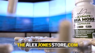 Infowars Network Feed: LIVE 247