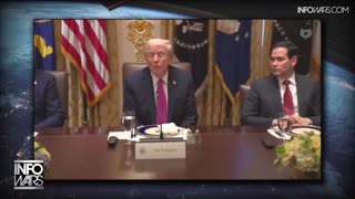 Infowars Network Feed: LIVE 247