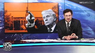 Infowars Network Feed: LIVE 247